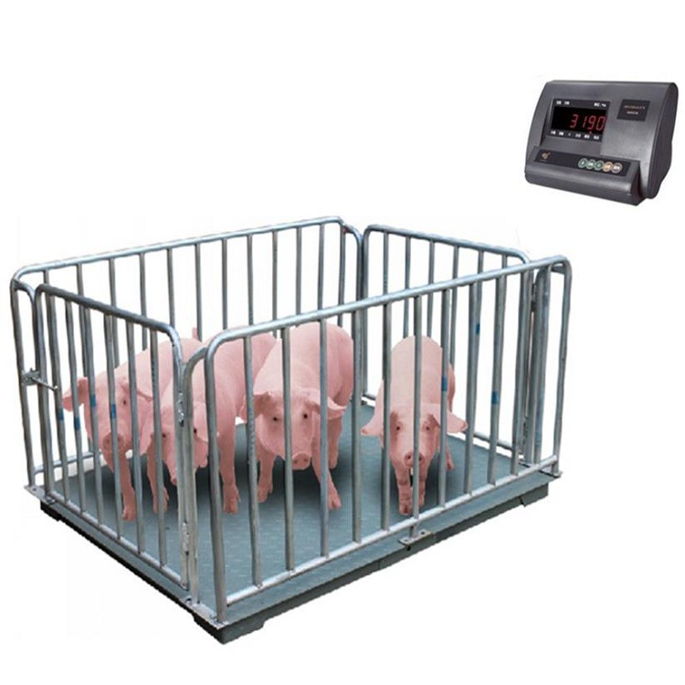 Digital Animal Floor Weighing Scales – Pig, Sheep, Cattle & Horse