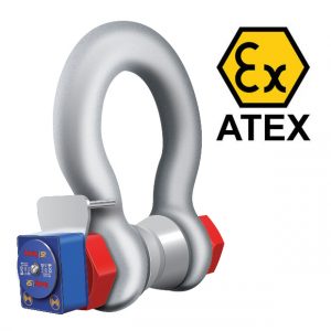 Calibration services for Hook Weighing Scale - Crane-Light-Duty weighing scale available in Kampala, Uganda