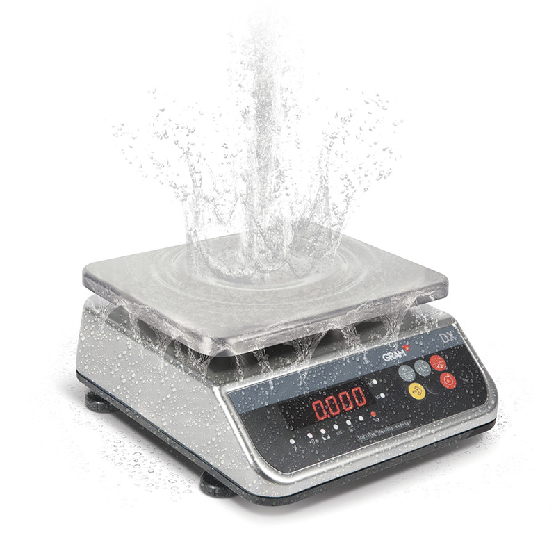 Stainless Steel Waterproof Scale