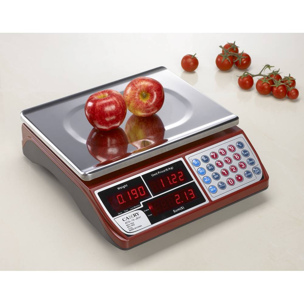 Electronic Commercial-Type Pricing Scale - view 2