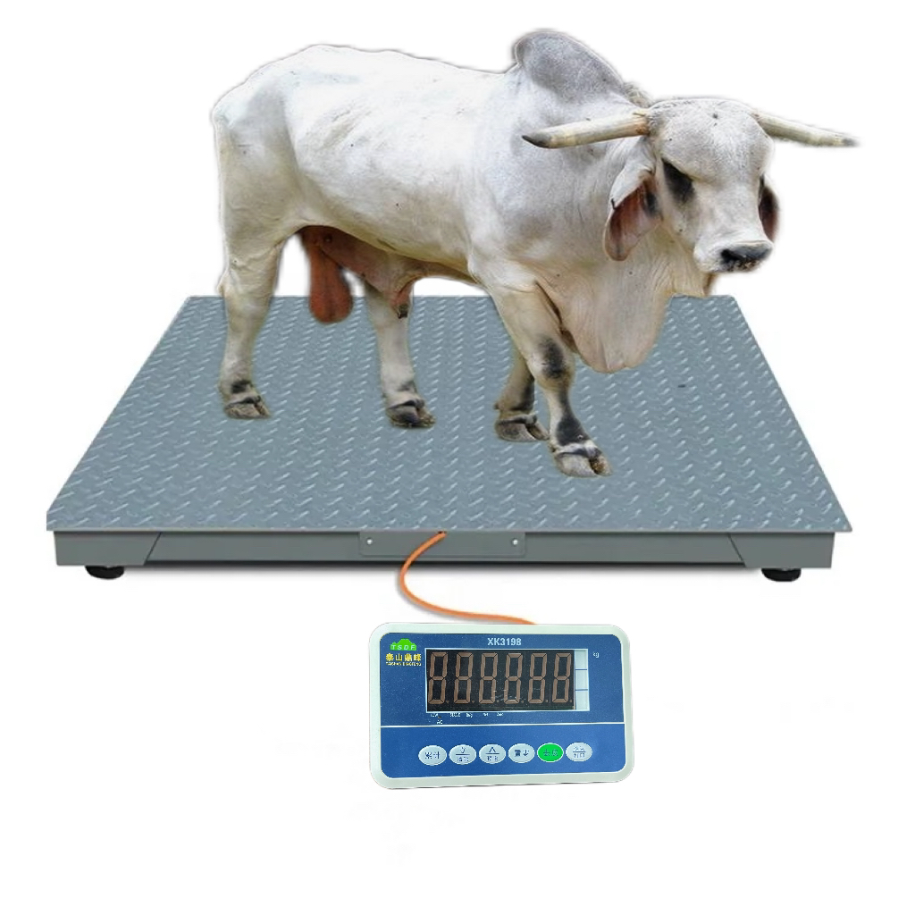 Wildlife Weighing Equipment – Heavy Duty Animal Scale System in Kumi-district - view 2