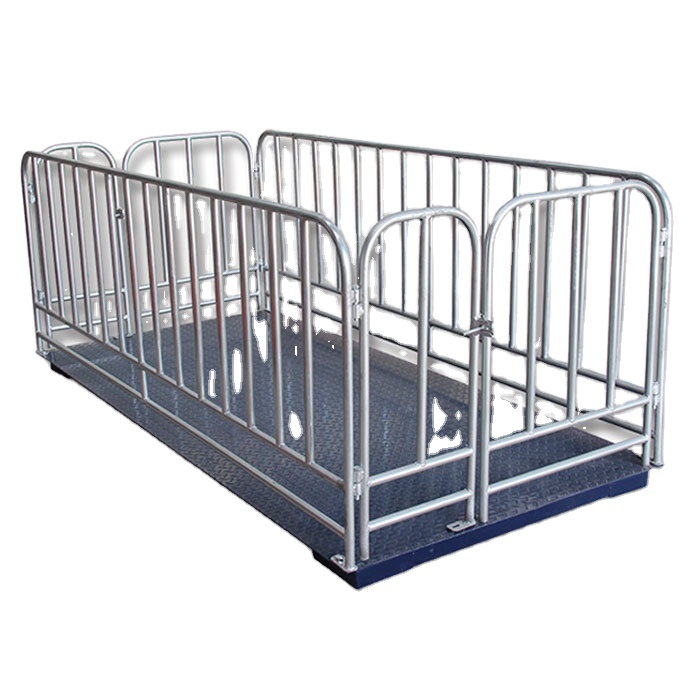 Bull Weighing Scale – Heavy Duty Livestock System in  bugiri-district - Animal-Heavy-Duty weighing scale available in Kampala, Uganda