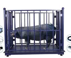 50mm LCD large display livestock weighing scales