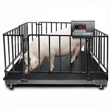 14.	High-quality single animal weighing scales digital type