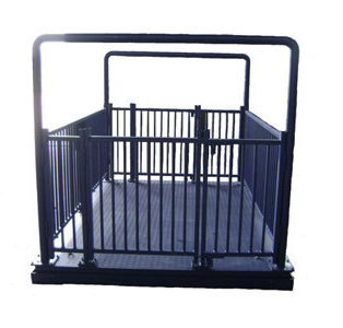 Accurate Weighing Scales – Kampala, Uganda - Animal-Light-Duty weighing scale available in Kampala, Uganda