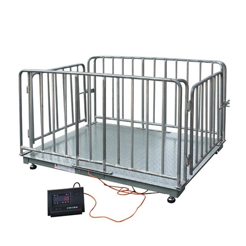 🐄 Precision Animal Weighing Scale in Amolatar-district - Animal-Heavy-Duty weighing scale available in Kampala, Uganda