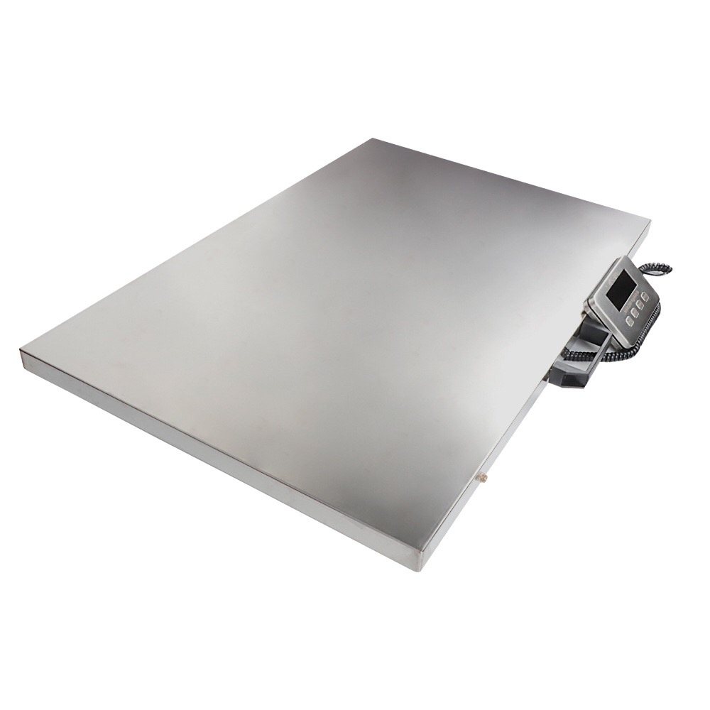 Heavy Load Floor Scale - view 2