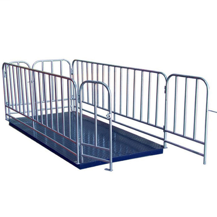 Veterinary Clinic Weighing Scale – Precision Animal Scale in Kamuli-district - Animal-Heavy-Duty weighing scale available in Kampala, Uganda