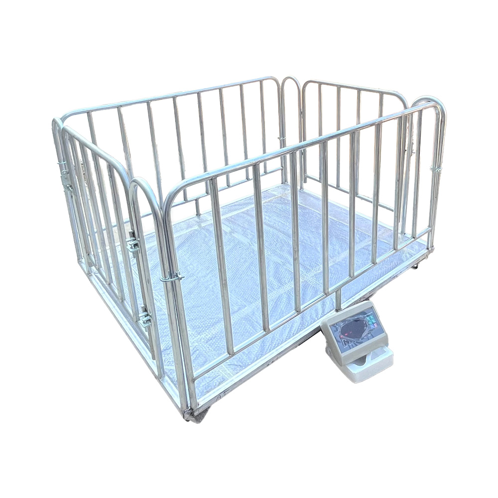 Livestock Scales in Kibuku-district - Animal-Light-Duty weighing scale available in Kampala, Uganda