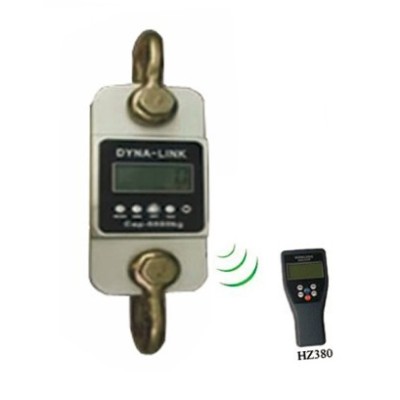 Digital Crane Scale – 100 kg, 300 kg, 500 kg - Crane-Light-Duty weighing scale available in Kampala, Uganda