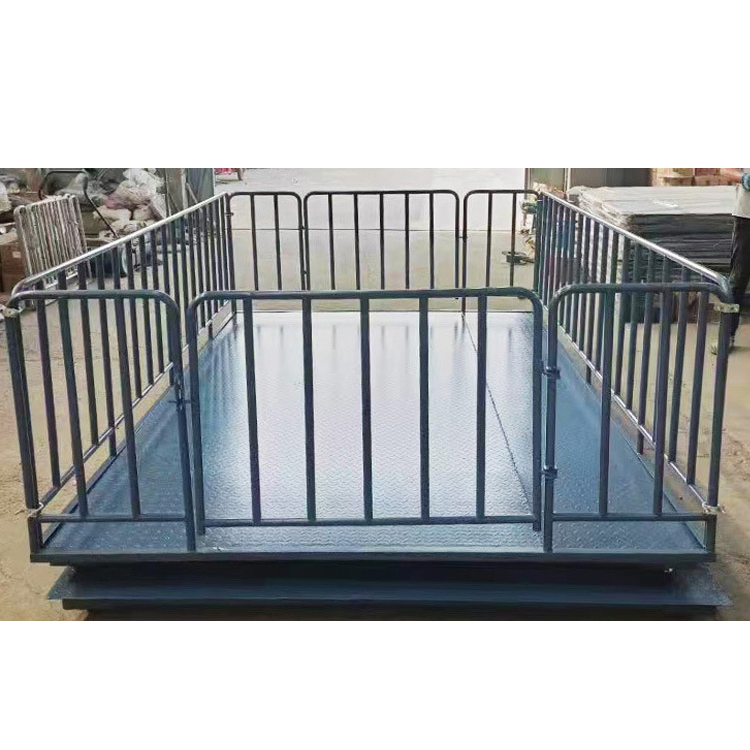 Request a Quote – Animal Scales in Zombo-district - Animal-Heavy-Duty weighing scale available in Kampala, Uganda