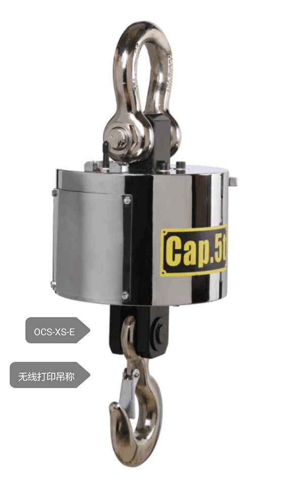 Industrial Crane Scale for Sale - Crane-Light-Duty weighing scale available in Kampala, Uganda