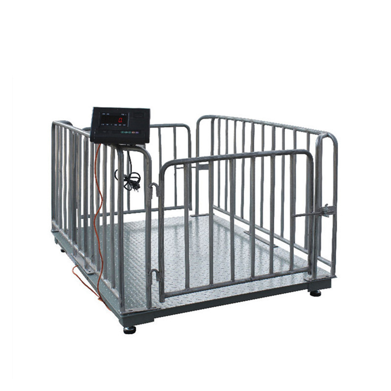 Wireless Animal Weighing Scale in Amudat-district - Animal-Heavy-Duty weighing scale available in Kampala, Uganda