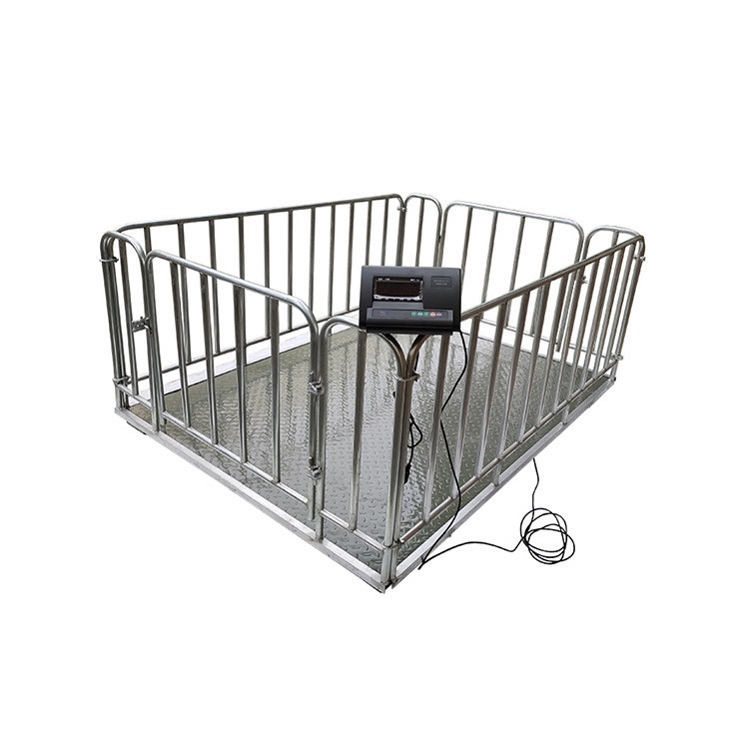 Livestock Weighing Systems – East Africa - Animal-Light-Duty weighing scale available in Kampala, Uganda