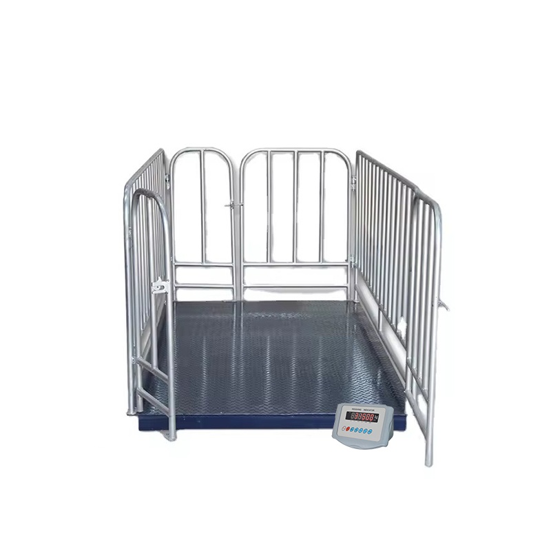 Abattoir Weighing Scales – Uganda - Animal-Heavy-Duty weighing scale available in Kampala, Uganda