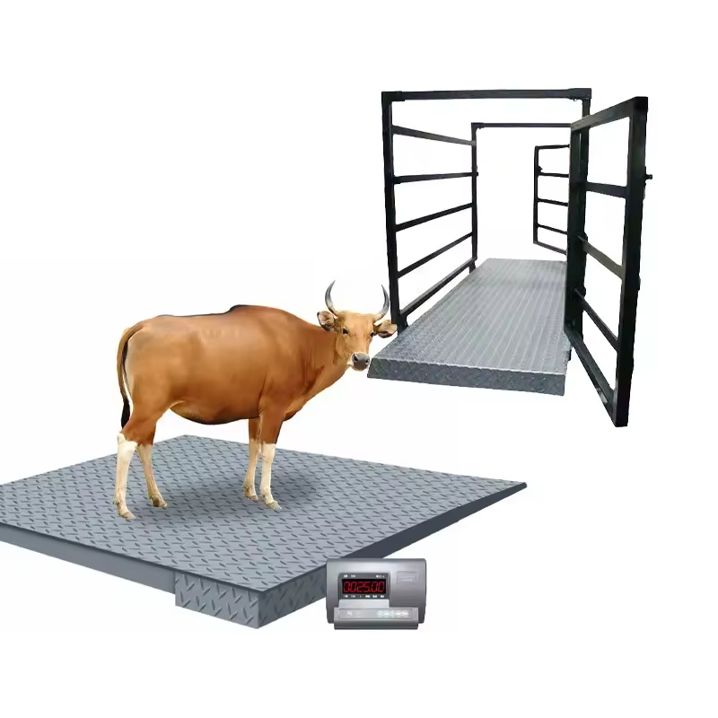 Rabbit Weighing Scale – Precision Small Animal Scale in Tororo-district - view 2