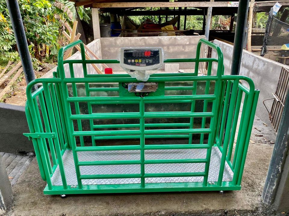 Electronic Dog & Pet Weighing Scale (300kg) - Animal-Heavy-Duty weighing scale available in Kampala, Uganda