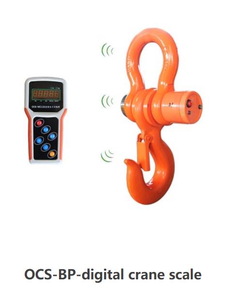 Improved industrial Crane Scale - Crane-Light-Duty weighing scale available in Kampala, Uganda