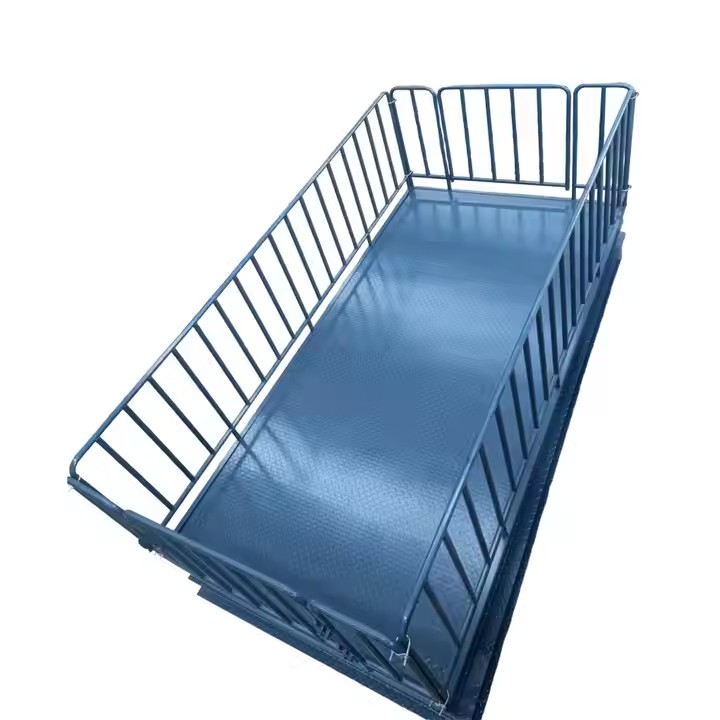 Calf Weighing Scale – Product Description and Specifications in jinja-district - view 2