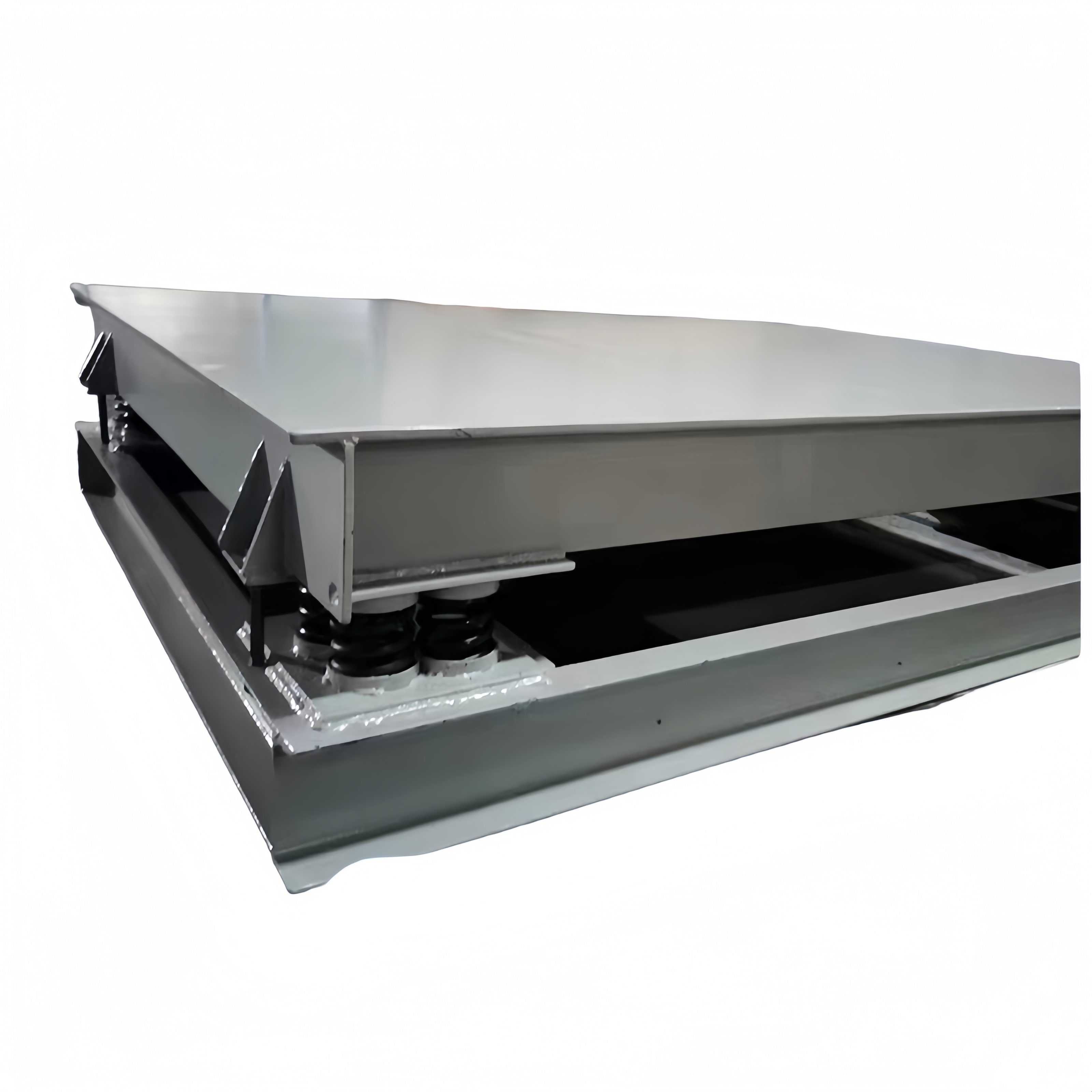 Reliable Stand-to-Platform Scale - view 2